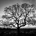 Timeless Strength Monochrome